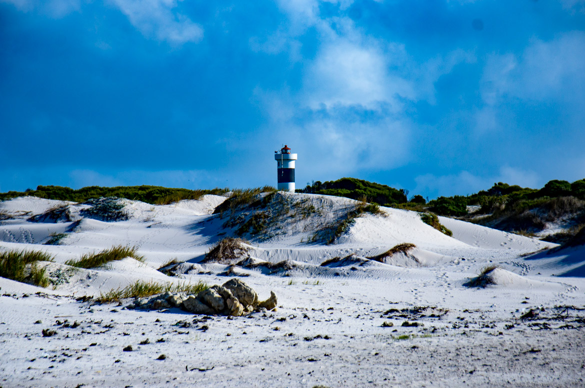 HLB_1696